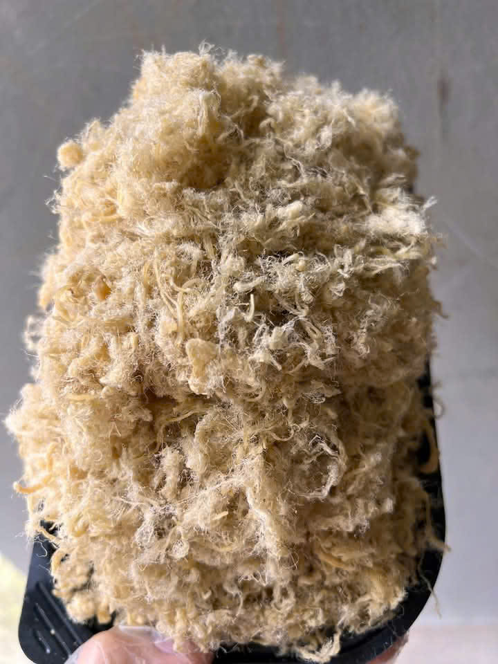 chà bông heo loại 1 size trung